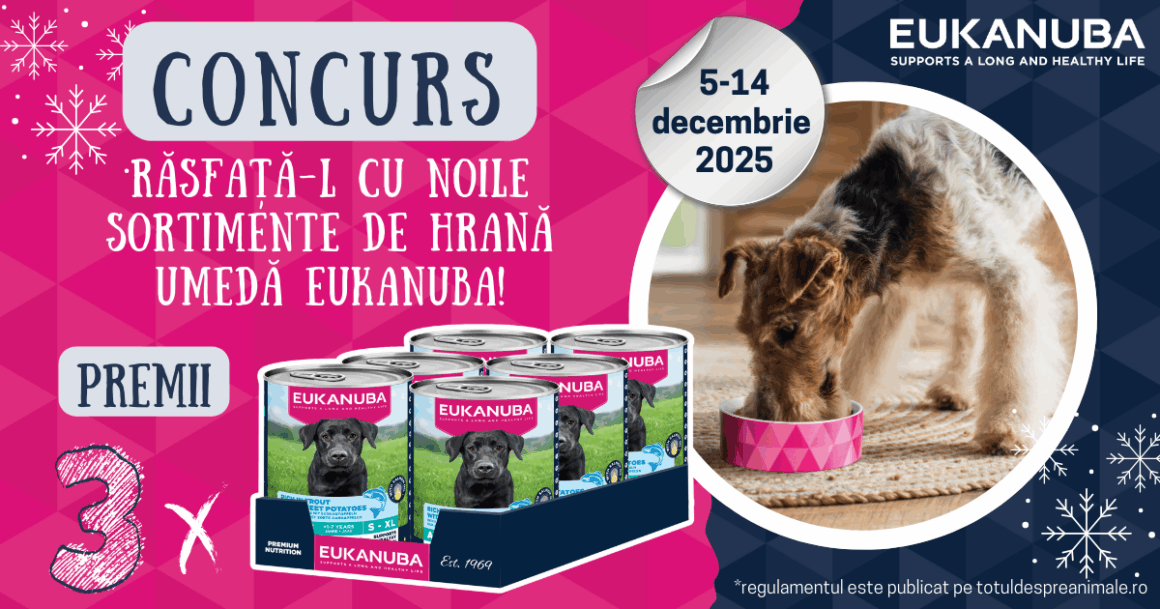 concurs Eukanuba