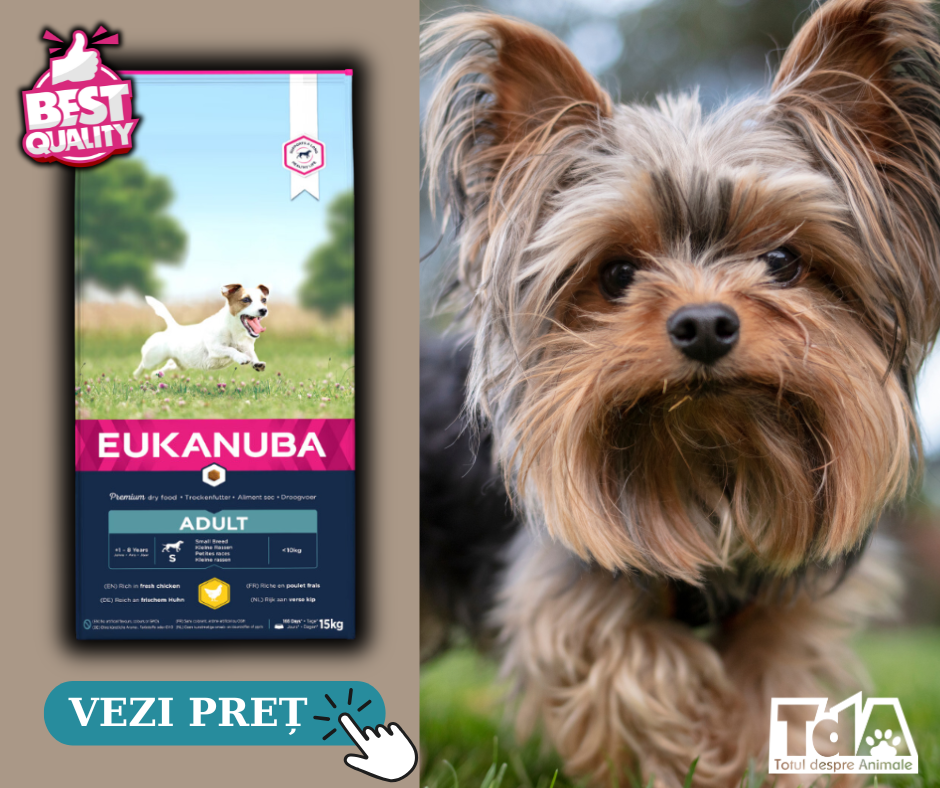 Eukanuba hrană pentru câini de talie mică
