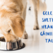 Cele mai bune sortimente de hrană pentru câinii adulți de talie mare