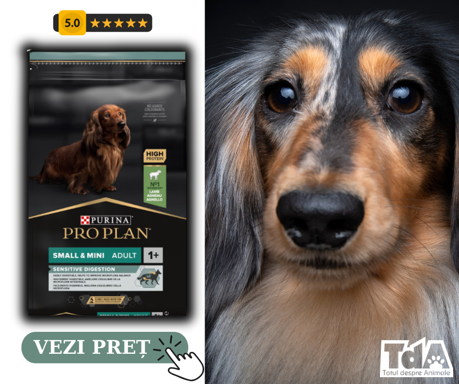 hrană pentru câini de talie mică de la Purina