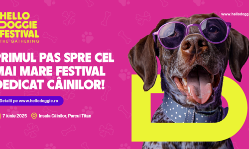 Hello Doggie Festival: The Gathering, primul pas spre o experiență de festival pentru posesorii și iubitorii de câini