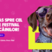 Hello Doggie Festival: The Gathering, primul pas spre o experiență de festival pentru posesorii și iubitorii de câini