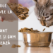 alergii alimentare pisică