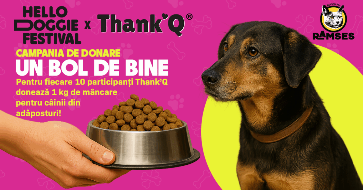 Hello Doggie Festival: The Gathering lansează campania „Un Bol de Bine” în parteneriat cu Thank’Q și Asociația Ramses
