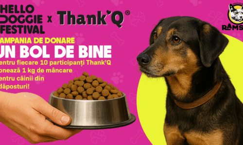 Hello Doggie Festival: The Gathering lansează campania „Un Bol de Bine” în parteneriat cu Thank’Q și Asociația Ramses