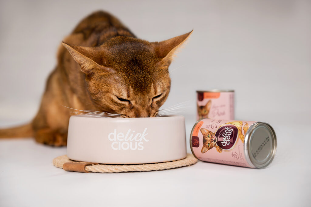 Tot mai mulți oameni percep animalele de companie ca membri cu drepturi depline ai familiei. Cum schimbă acest lucru industria de petfood în lume și în România Tot mai mulți oameni percep animalele de companie ca membri cu drepturi depline ai familiei. Cum schimbă acest lucru industria de petfood în lume și în România