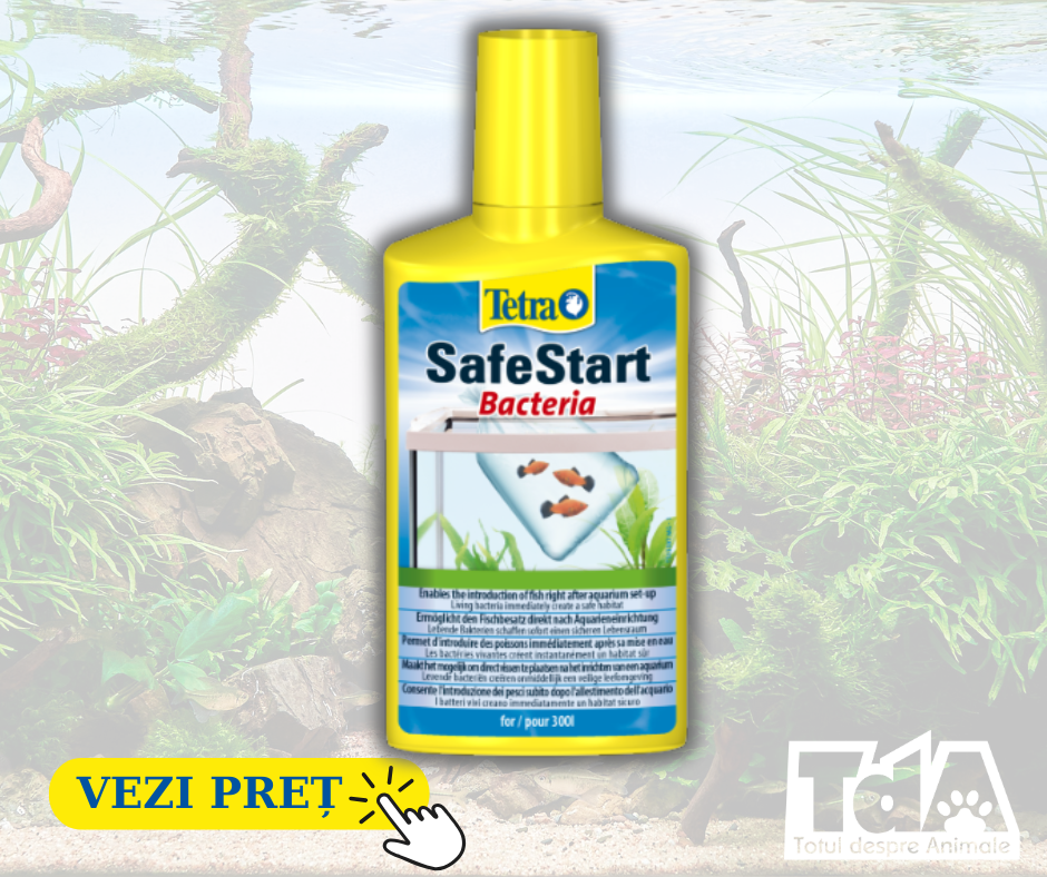 produs Tetra Safestart Bacteria