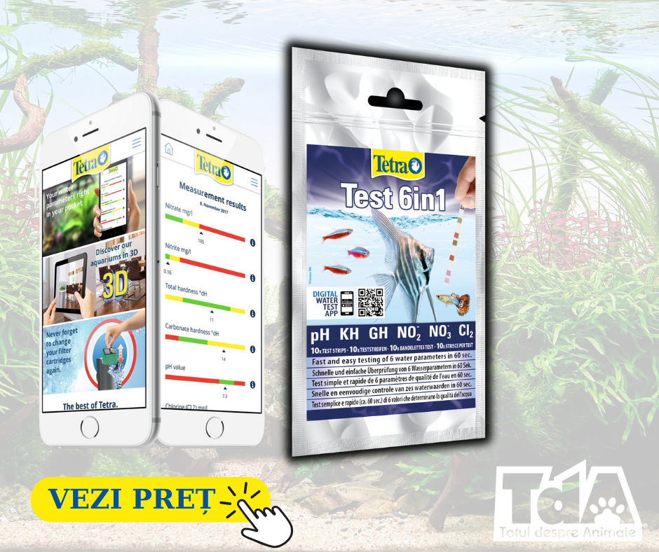 tetra 6in1 benzi testare