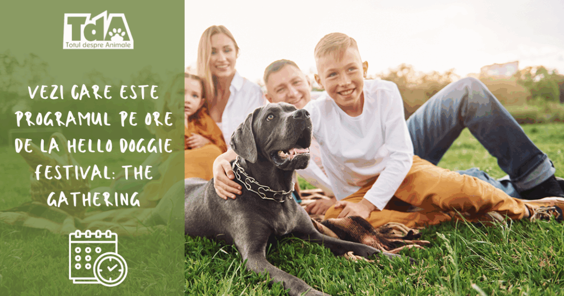 Hello Doggie Festival: The Gathering