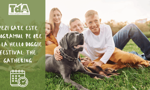 Hello Doggie Festival: The Gathering