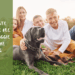 Hello Doggie Festival: The Gathering