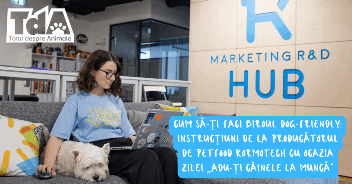 Cu câinele la birou