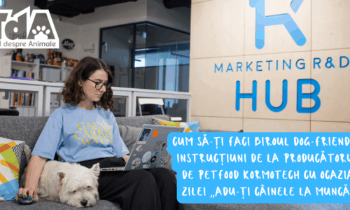 Cu câinele la birou