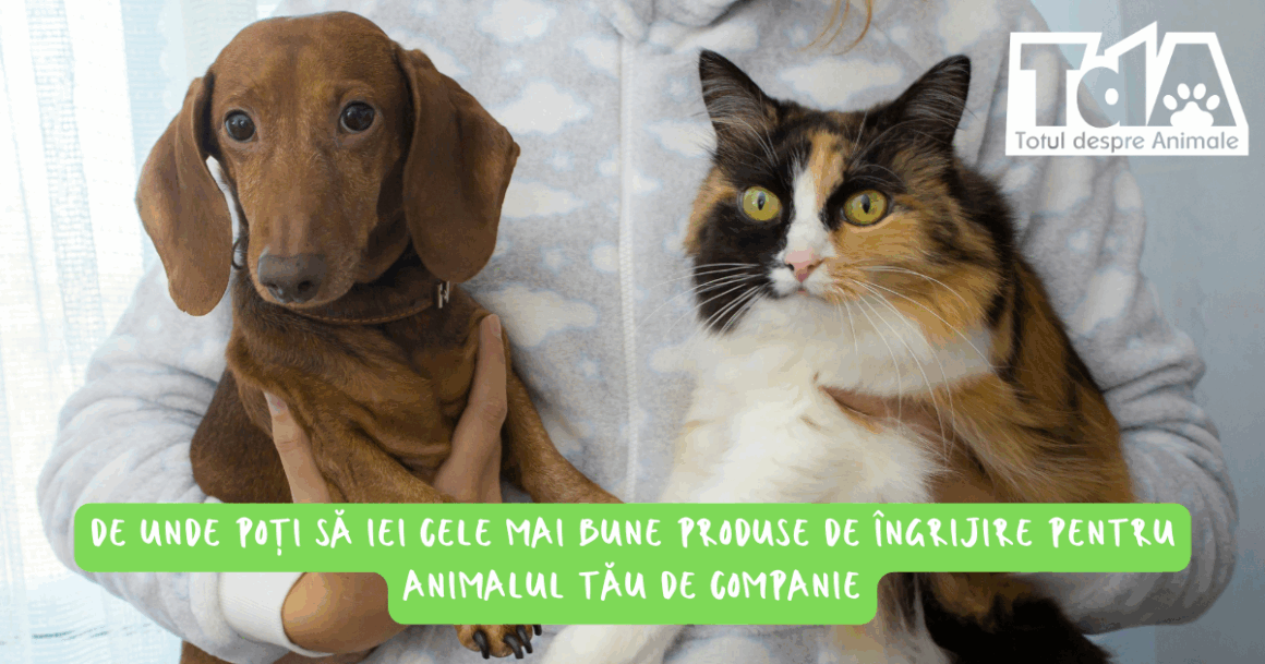 Magazin online sau farmacie veterinară
