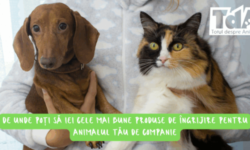 Magazin online sau farmacie veterinară