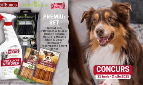 Regulament CONCURS FURminator România (25 iunie – 2 iulie 2025)