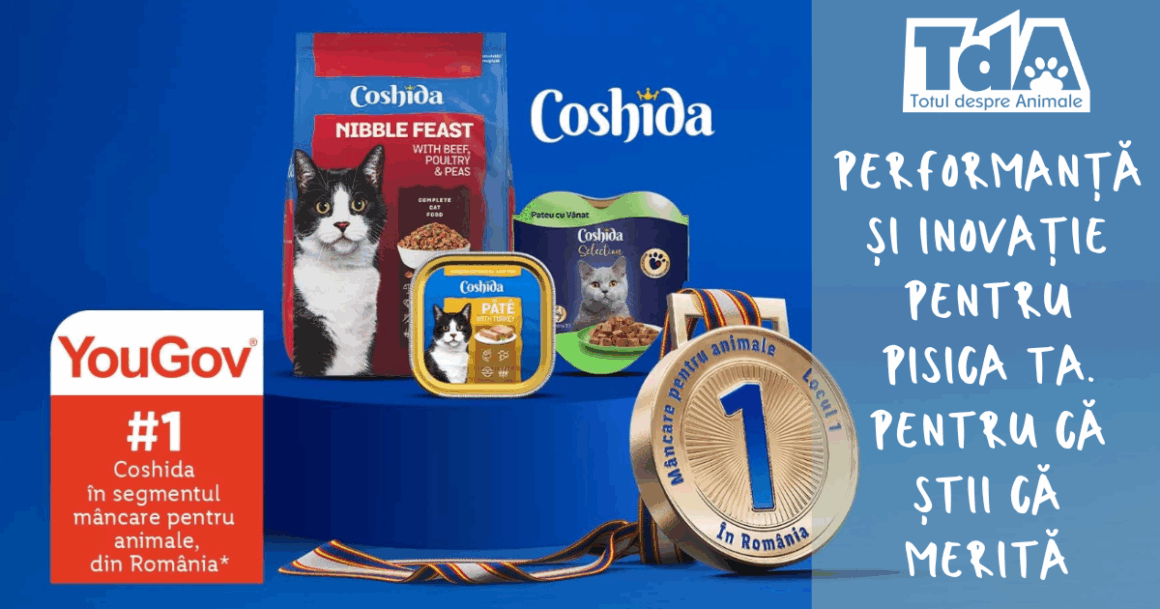 Comunicat de presă Coshida, marcă proprie Lidl performanță și inovație pentru pisica ta. Pentru că știi că merită