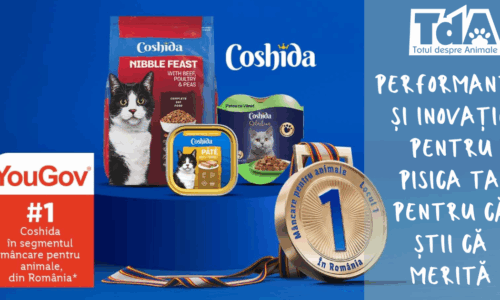 Comunicat de presă Coshida, marcă proprie Lidl performanță și inovație pentru pisica ta. Pentru că știi că merită