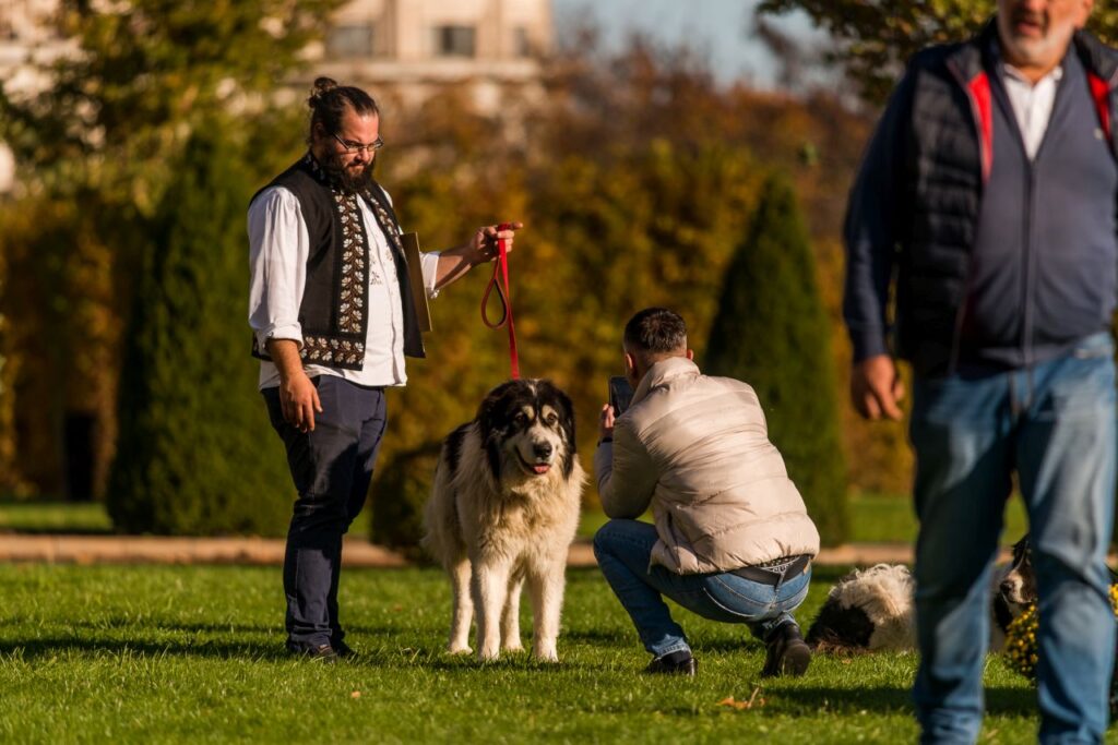 Gala Ciobăneștilor Românești 