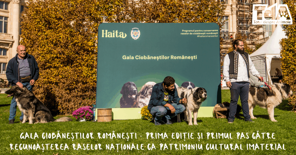 Gala Ciobăneștilor Românești - prima ediție