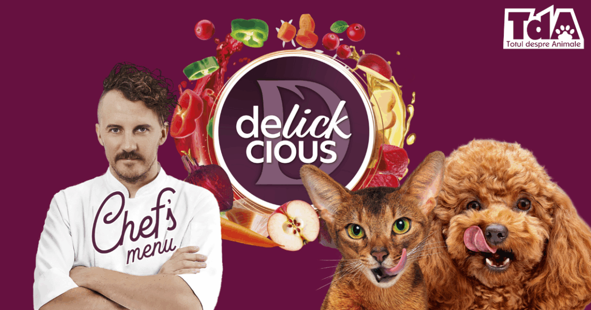 Brandul ucrainean Delickcious a creat borş şi paella pentru pisici şi câini