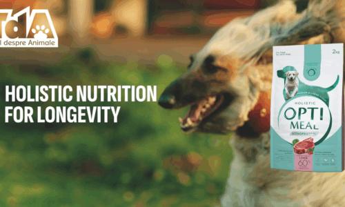 Spotul publicitar Optimeal Holistic