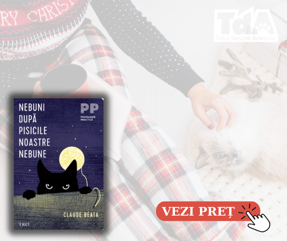carte cadou iubitori pisici