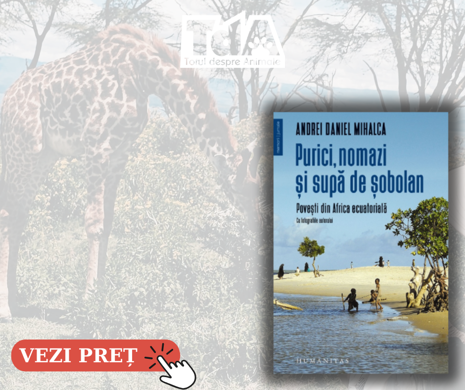 Purici, nomazi și supă de șobolani