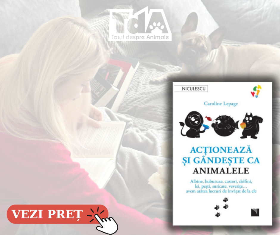 carte iubitori de animale cadou de crăciun