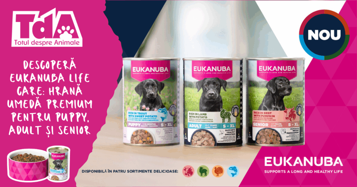 Descoperă Eukanuba Life Care: hrană umedă premium pentru Puppy, Adult și Senior