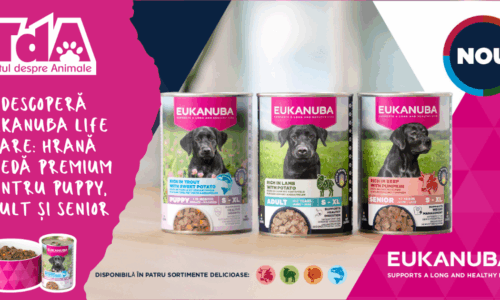 Descoperă Eukanuba Life Care: hrană umedă premium pentru Puppy, Adult și Senior
