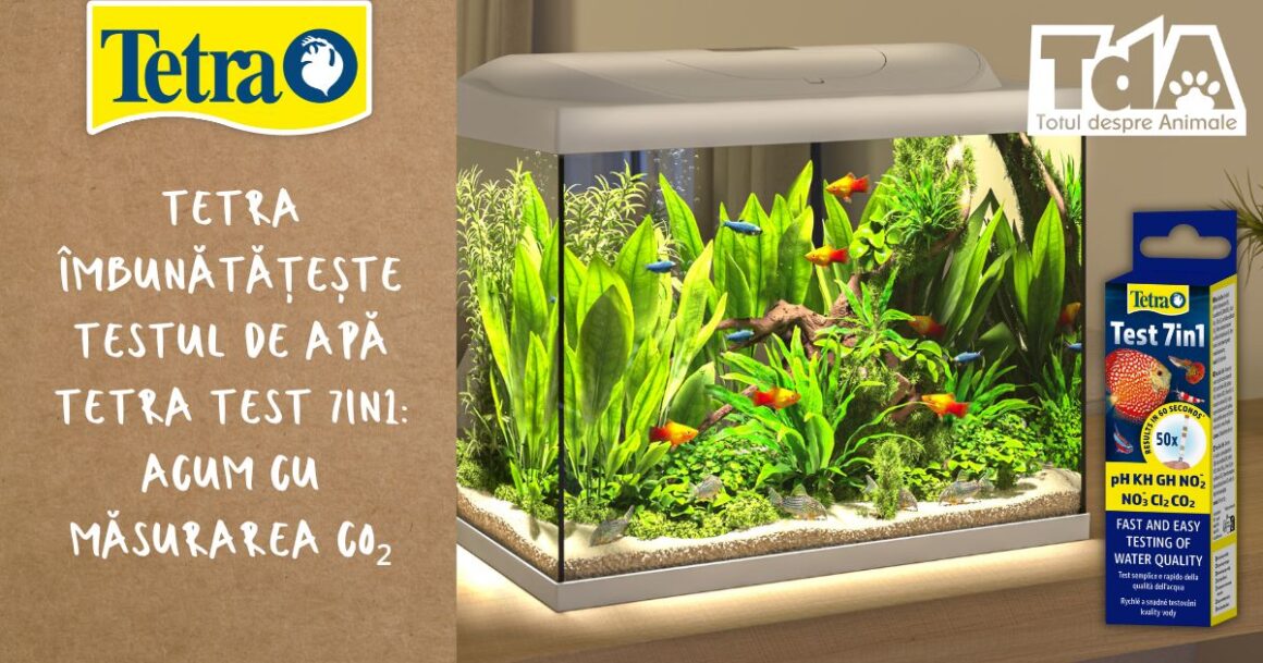 Tetra îmbunătățește testul de apă Tetra Test 7in1: acum cu măsurarea CO₂