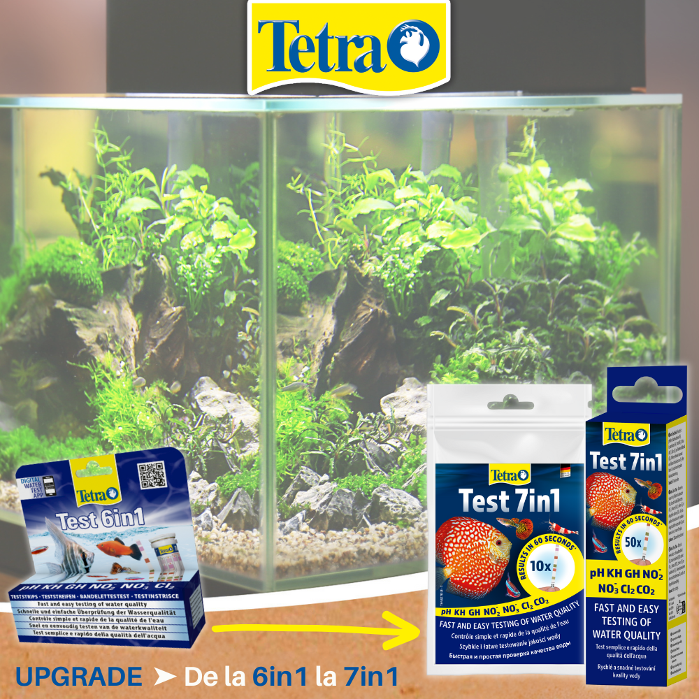 Tetra Test 7in1 