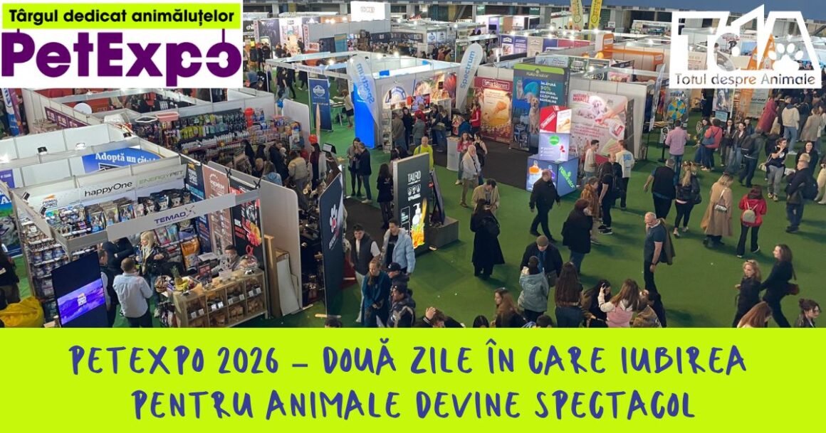 PetExpo 2026 – Două zile în care iubirea pentru animale devine spectacol