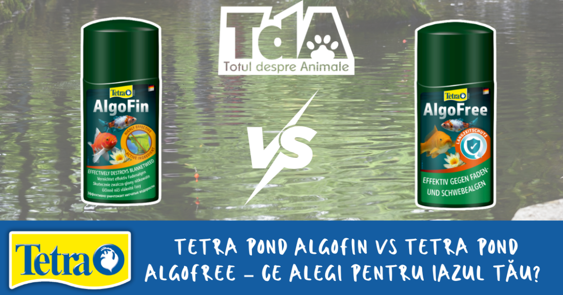 Tetra AlgoFin vs AlgoFree – ce alegi pentru iazul tău?