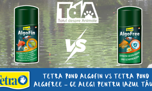 Tetra AlgoFin vs AlgoFree – ce alegi pentru iazul tău?