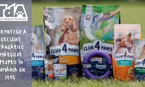 Kormotech a crescut vânzările mărcilor proprii în România cu 14,4%