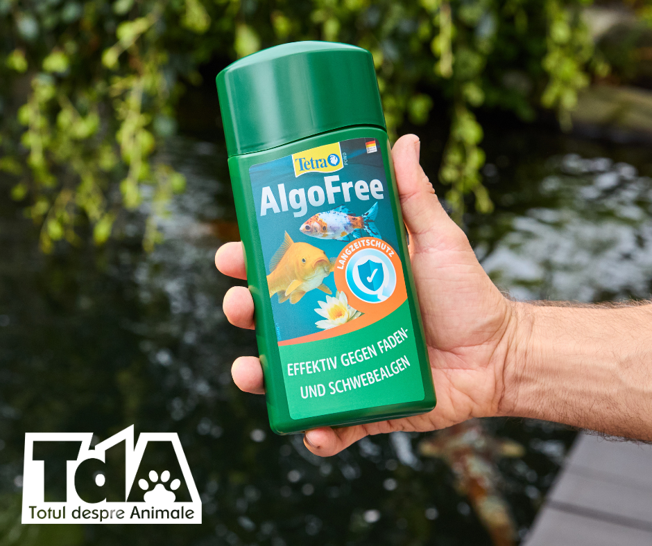 Tetra AlgoFree