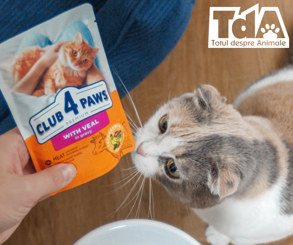 Kormotech a crescut vânzările mărcilor proprii în România cu 14,4% 
