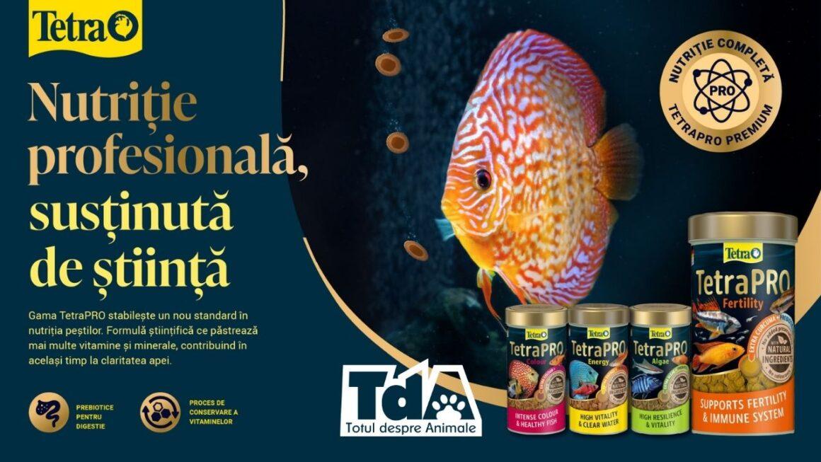 Descoperă TetraPRO Fertility – cea mai nouă inovație în hrana pentru pești
