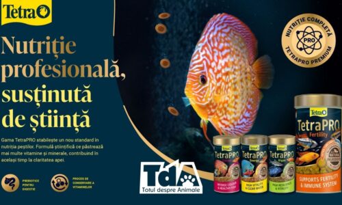 Descoperă TetraPRO Fertility – cea mai nouă inovație în hrana pentru pești