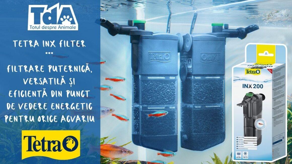 noua gamă de filtre interne Tetra INX