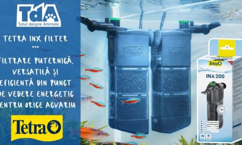 noua gamă de filtre interne Tetra INX