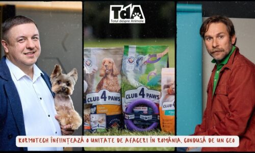 Kormotech înființează o unitate de afaceri în România, condusă de un CEO