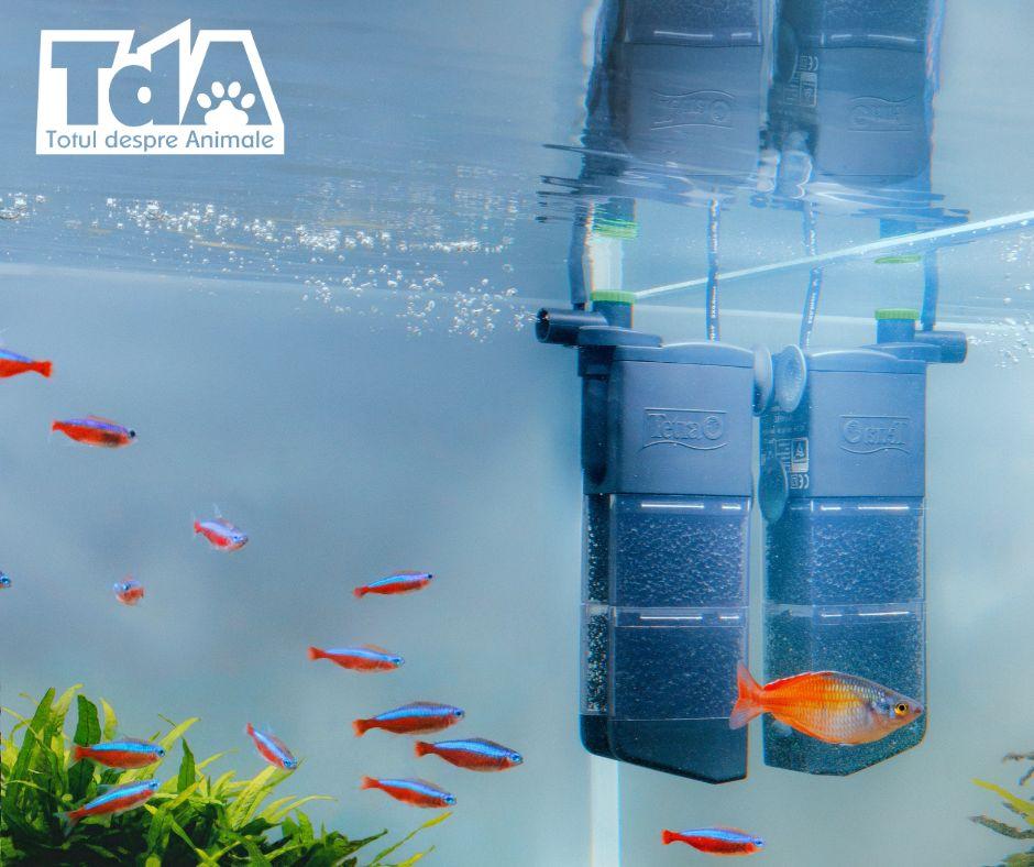noua gamă de filtre interne Tetra INX 
