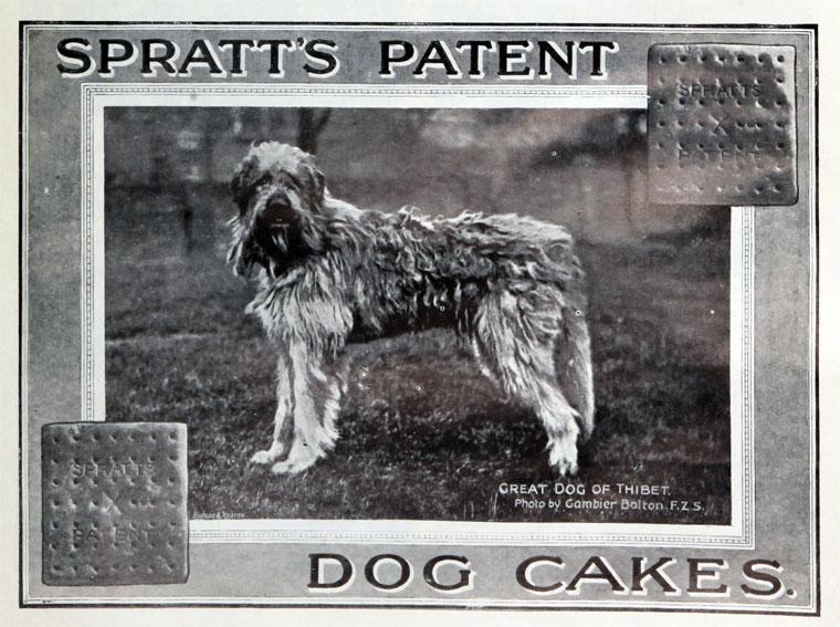 hrană uscată pentru câini Spratt's Patent Meat Fibrine Dog Cakes Spratt's Patent Meat Fibrine Dog Cakes hrană uscată pentru câini