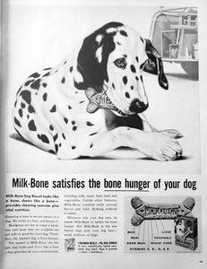Biscuiții Milk-Bone Biscuiții Milk-Bone istoria hranei uscate pentru câini