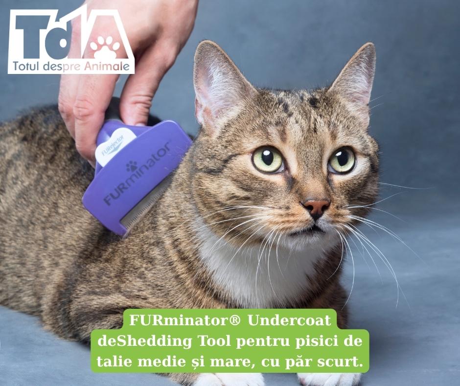 năpârlirea la pisici FURminator deshedder năpârlirea la pisici FURminator deshedder