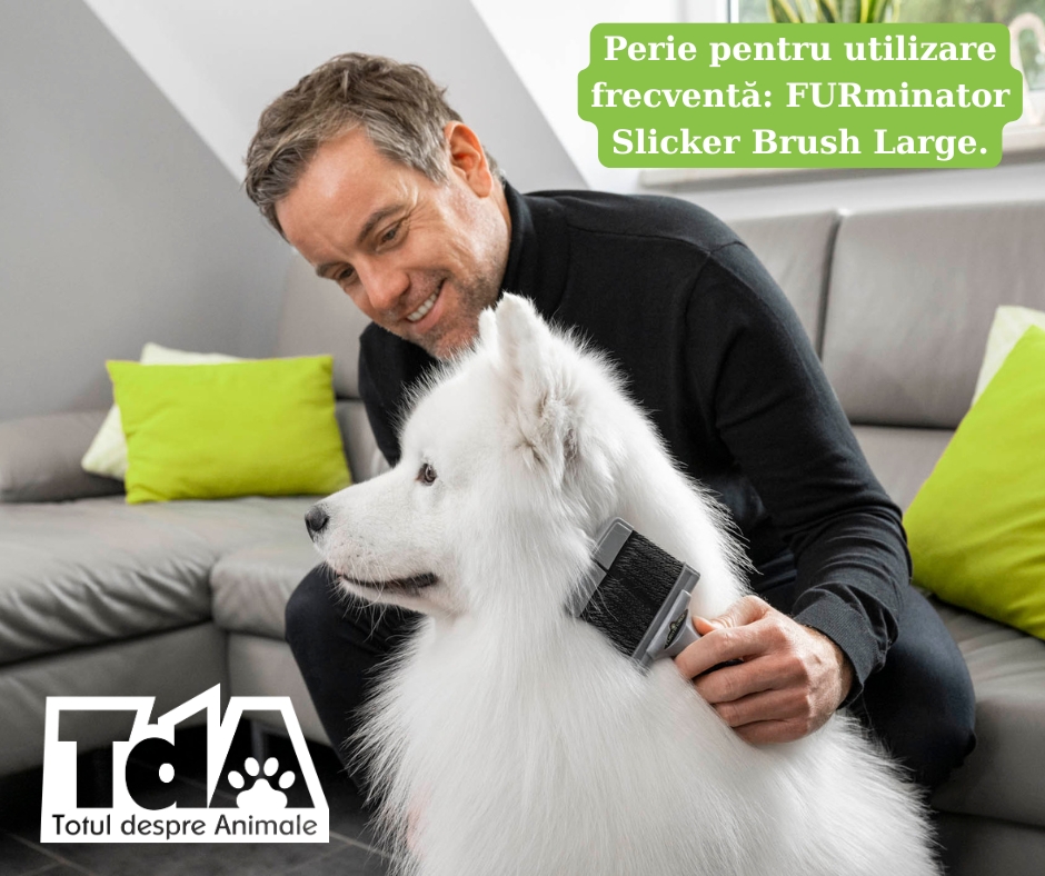 FURminator slicker brush large potrivit pentru năpârlirea la câini și pisici adulte FURminator slicker brush large potrivit pentru năpârlirea la câini și pisici adulte