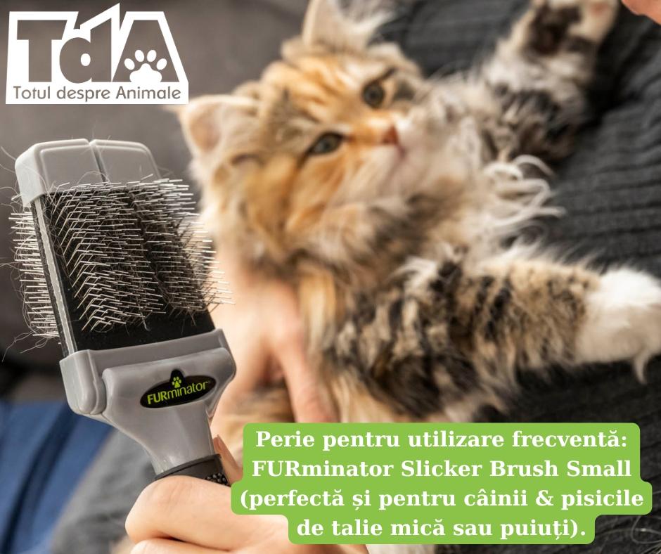 FURminator Slicker brush Small potrivit pentru năpârlirea la câini și pisici de talie mică sau pui FURminator Slicker brush Small potrivit pentru năpârlirea la câini și pisici de talie mică sau pui